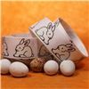 Order  Easter Ribbon - White Rabbit/White